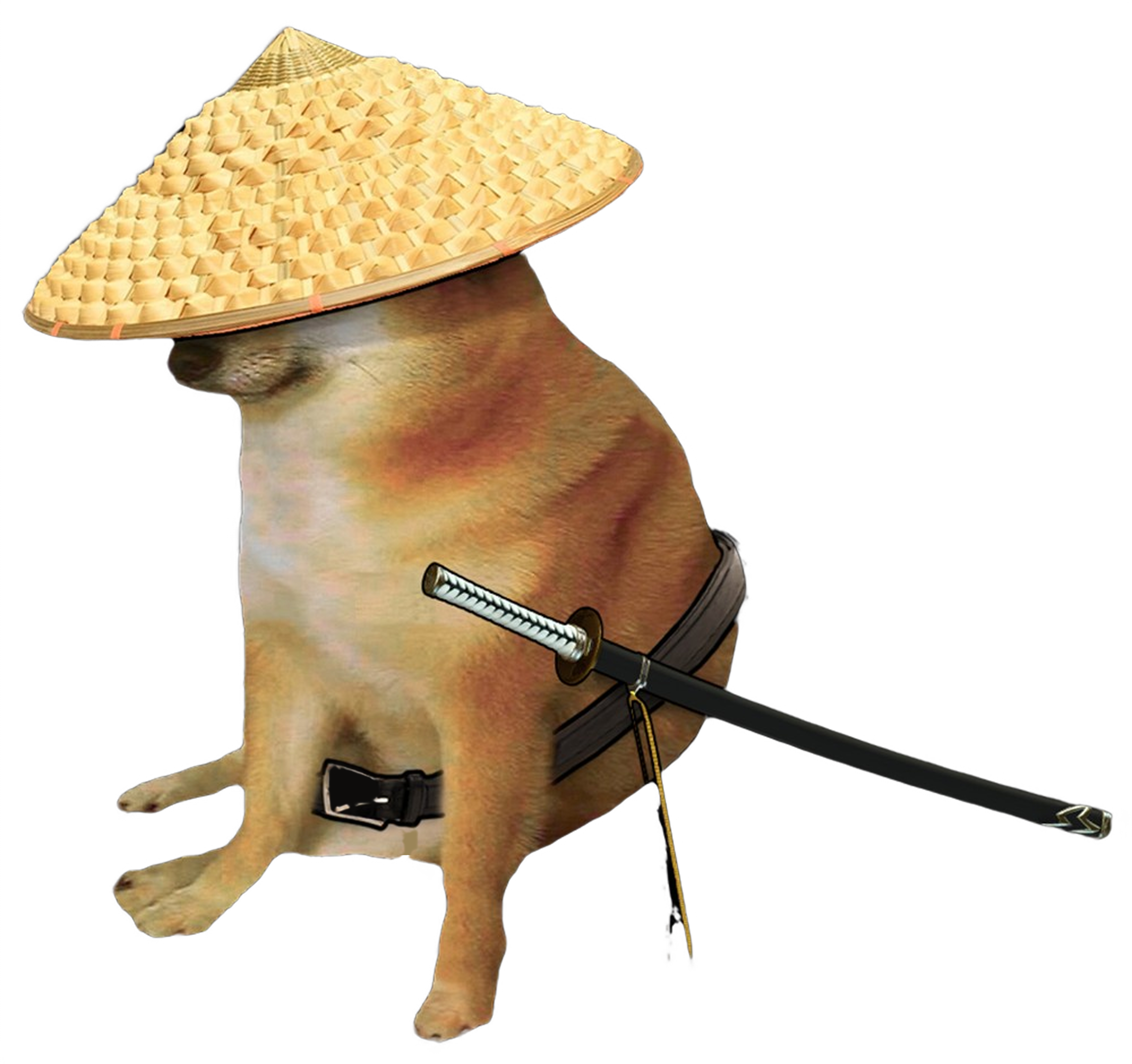 собака